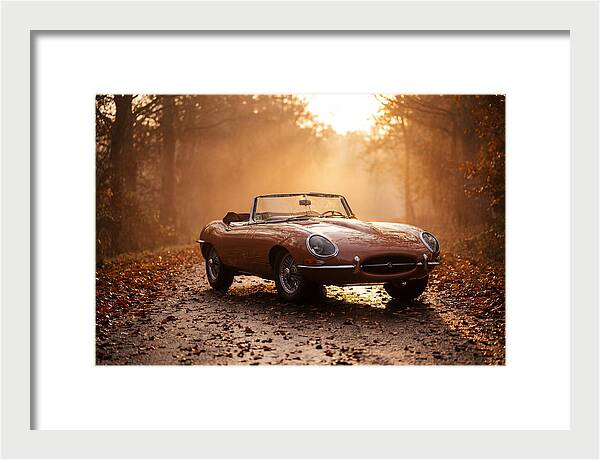 Classic Convertible In Autumn Light