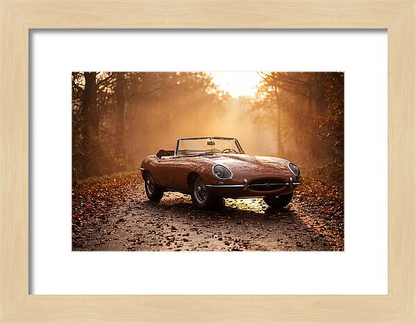 Classic Convertible In Autumn Light
