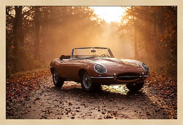 Classic Convertible In Autumn Light