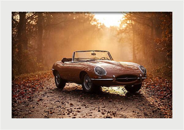Classic Convertible In Autumn Light