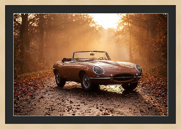 Classic Convertible In Autumn Light