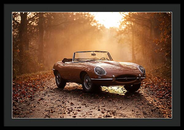 Classic Convertible In Autumn Light