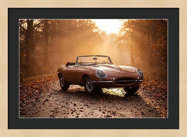 Classic Convertible In Autumn Light