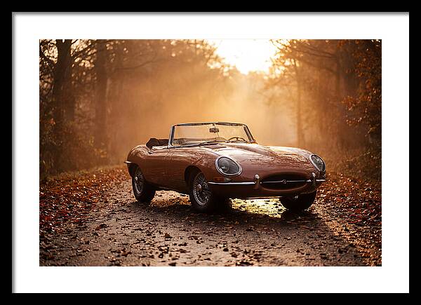 Classic Convertible In Autumn Light