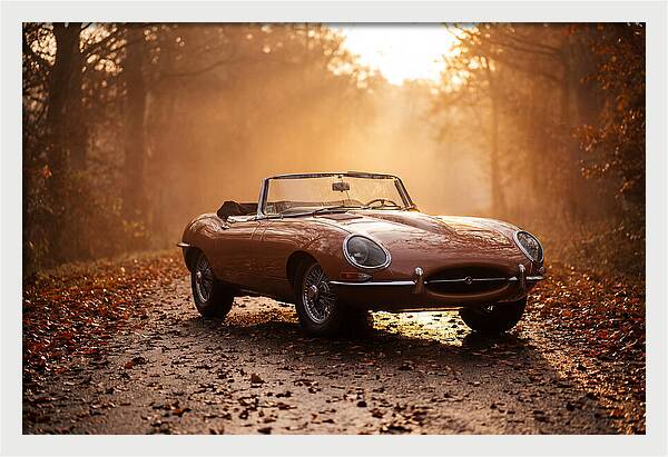 Classic Convertible In Autumn Light