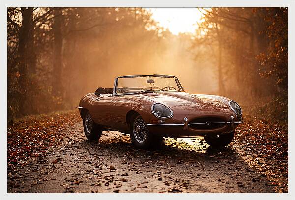 Classic Convertible In Autumn Light