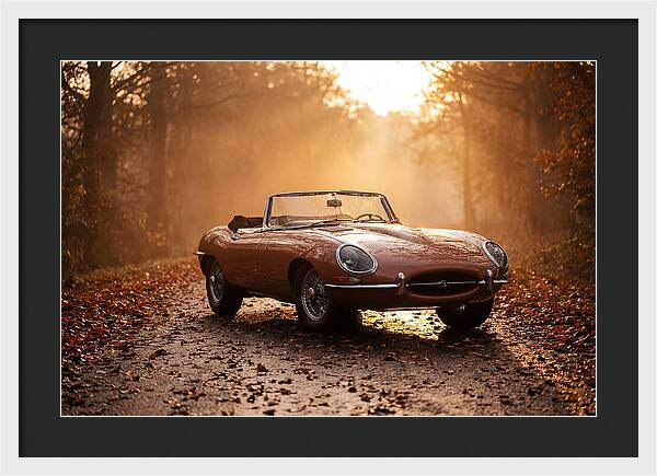 Classic Convertible In Autumn Light