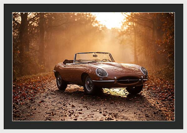 Classic Convertible In Autumn Light