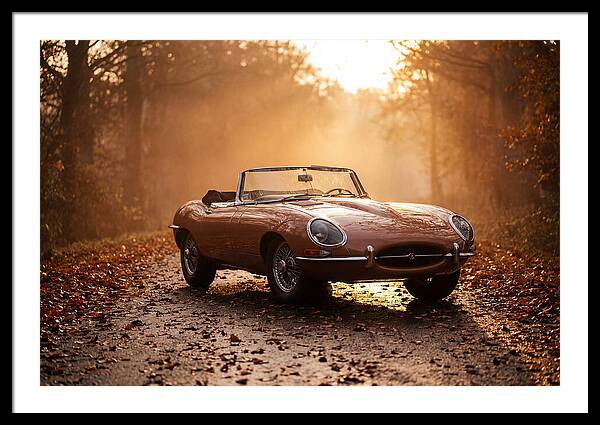Classic Convertible In Autumn Light