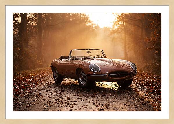 Classic Convertible In Autumn Light