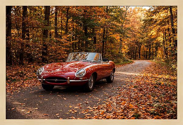 Classic Sports Car In Autumn Forest
