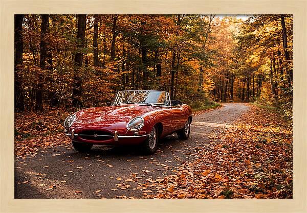 Classic Sports Car In Autumn Forest