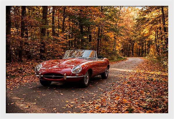 Classic Sports Car In Autumn Forest