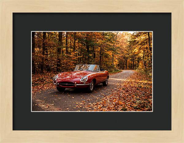 Classic Sports Car In Autumn Forest