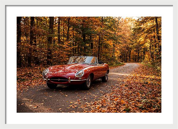 Classic Sports Car In Autumn Forest