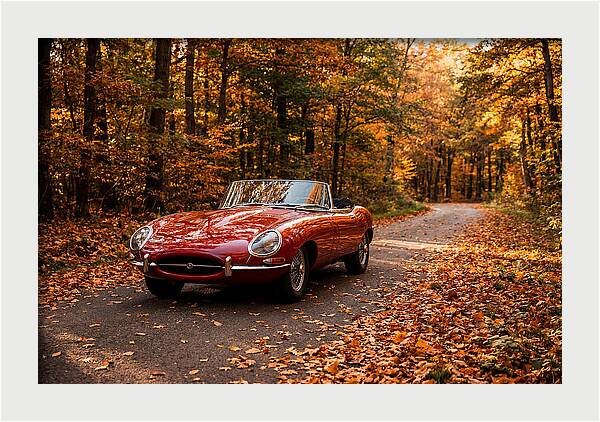 Classic Sports Car In Autumn Forest