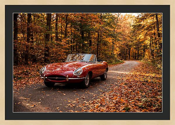 Classic Sports Car In Autumn Forest