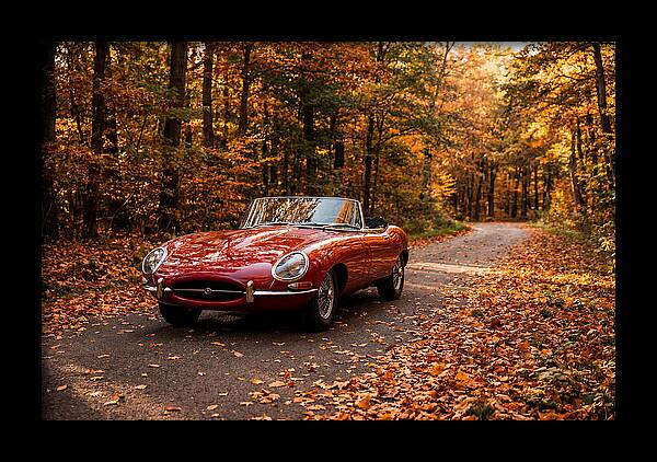 Classic Sports Car In Autumn Forest