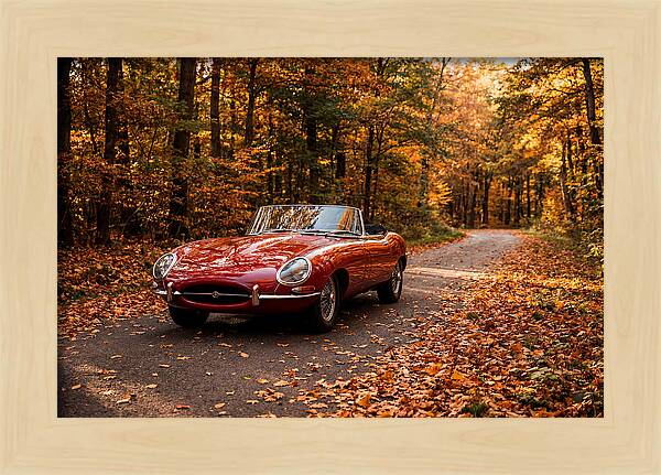 Classic Sports Car In Autumn Forest