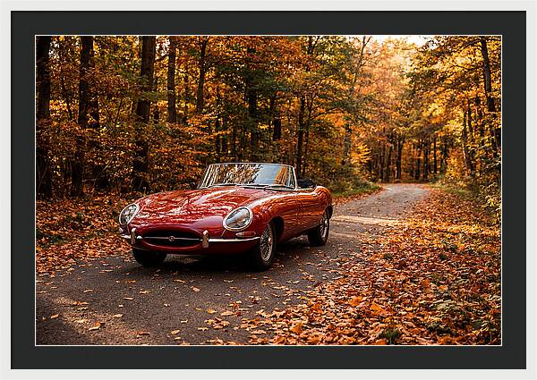 Classic Sports Car In Autumn Forest