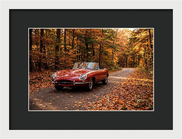 Classic Sports Car In Autumn Forest