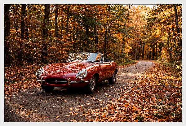 Classic Sports Car In Autumn Forest