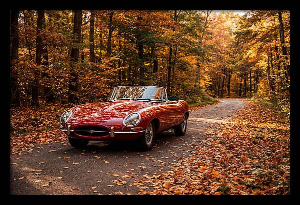Classic Sports Car In Autumn Forest