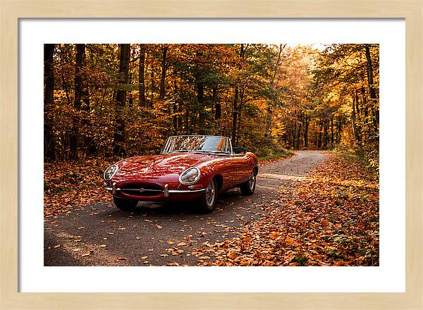 Classic Sports Car In Autumn Forest