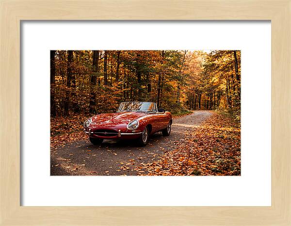 Classic Sports Car In Autumn Forest