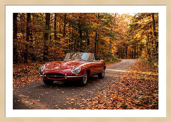 Classic Sports Car In Autumn Forest