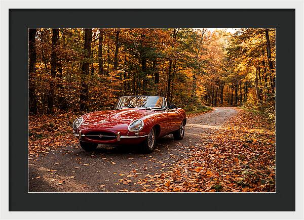Classic Sports Car In Autumn Forest