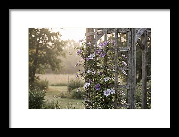 Clematis Climbing Wooden Support