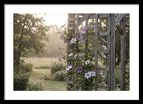 Clematis Climbing Wooden Support