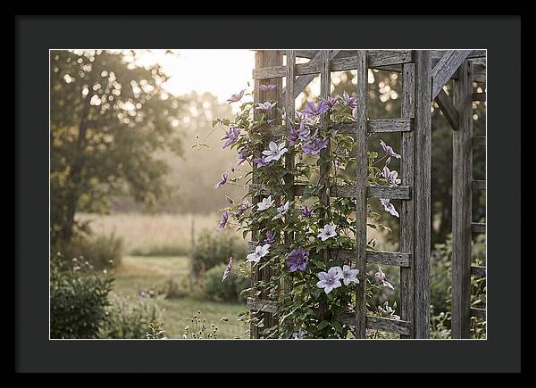 Clematis Climbing Wooden Support
