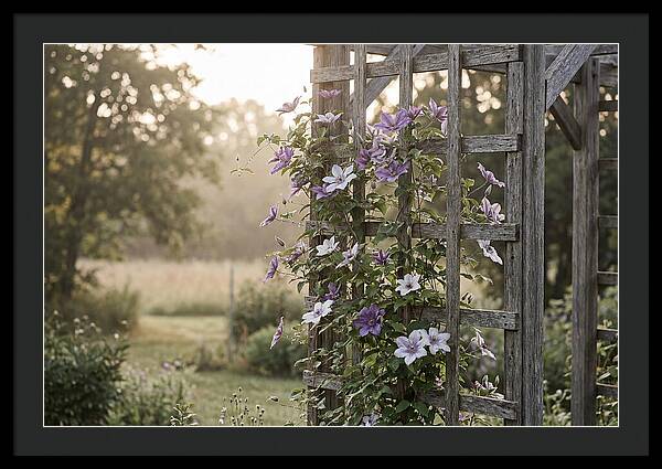 Clematis Climbing Wooden Support