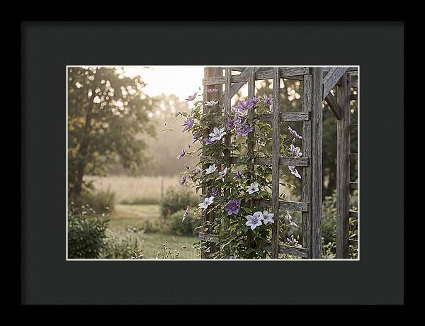 Clematis Climbing Wooden Support