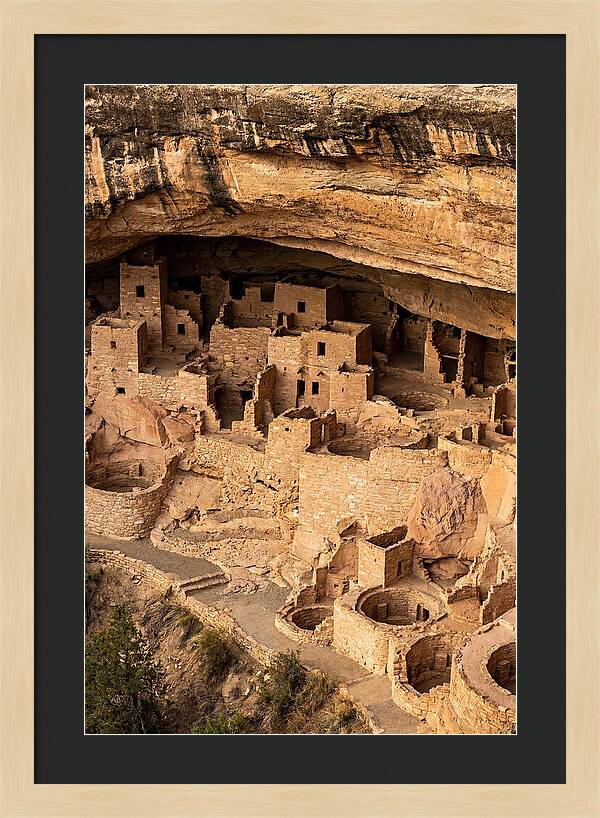 Cliff Palace At Mesa Verde