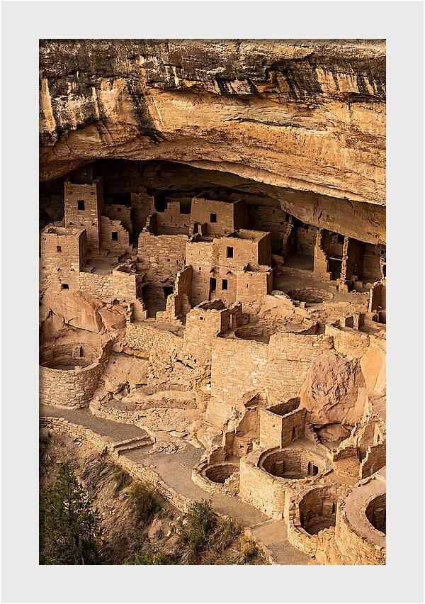 Cliff Palace At Mesa Verde
