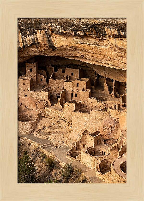 Cliff Palace At Mesa Verde