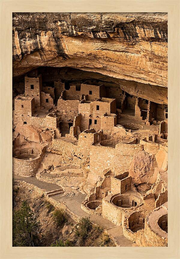 Cliff Palace At Mesa Verde
