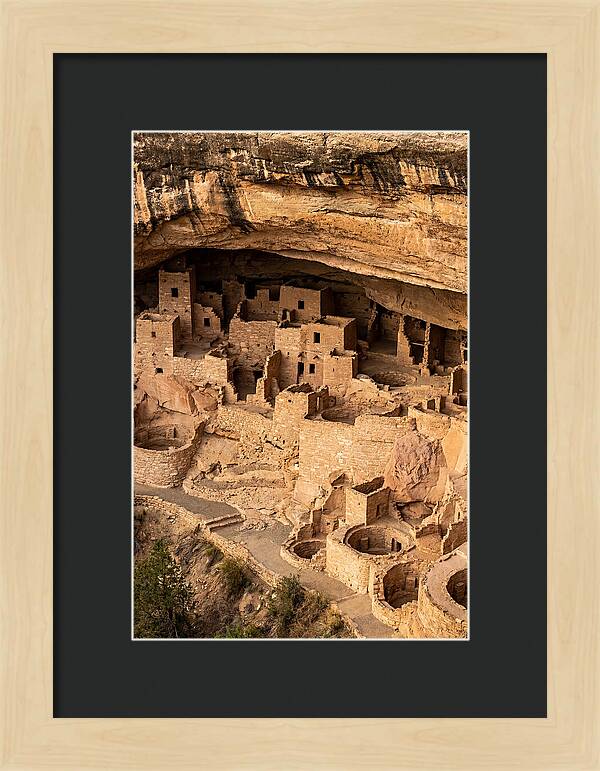 Cliff Palace At Mesa Verde
