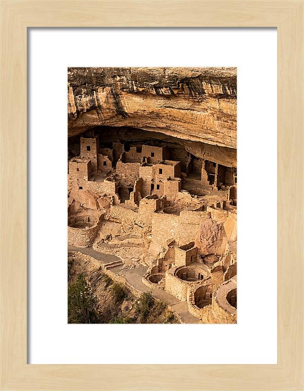 Cliff Palace At Mesa Verde