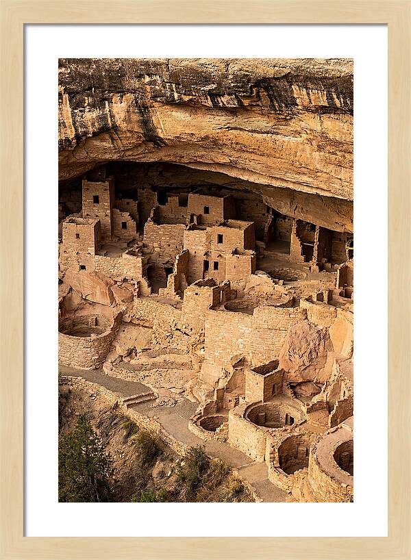 Cliff Palace At Mesa Verde