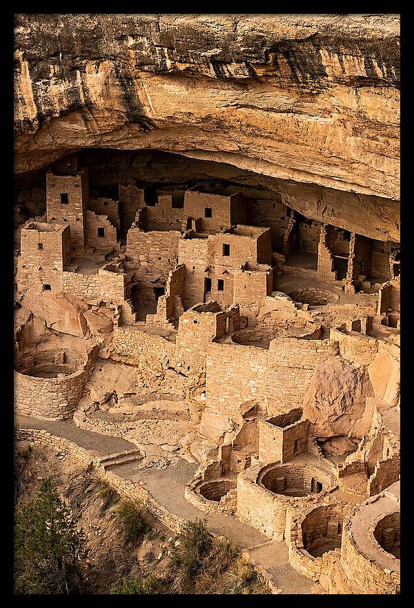 Cliff Palace At Mesa Verde