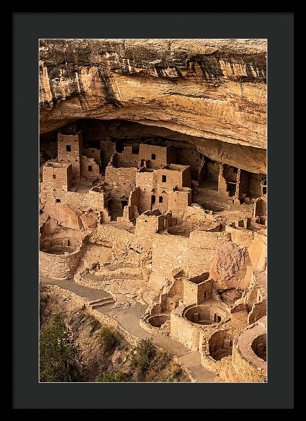 Cliff Palace At Mesa Verde