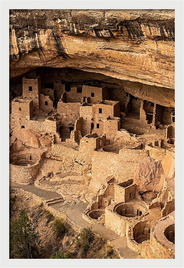 Cliff Palace At Mesa Verde
