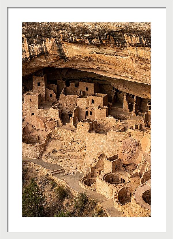 Cliff Palace At Mesa Verde