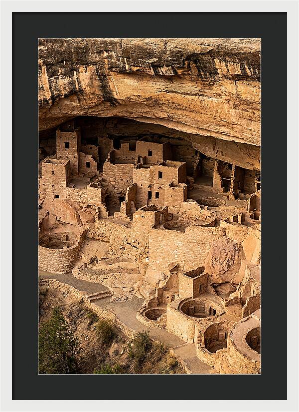 Cliff Palace At Mesa Verde
