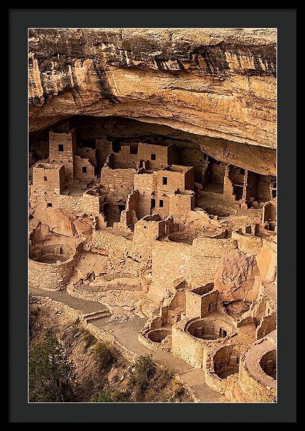 Cliff Palace At Mesa Verde