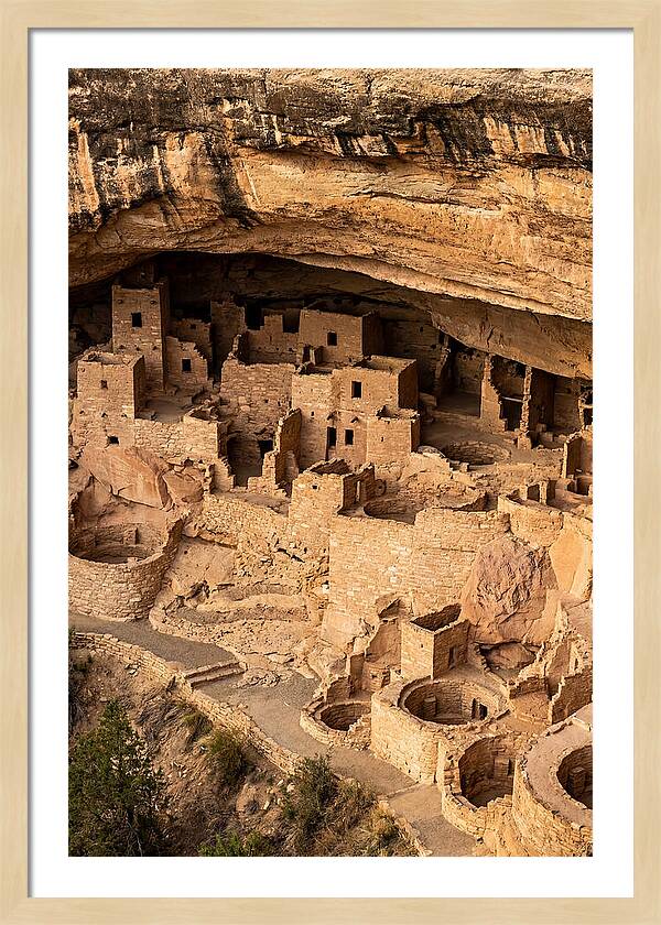 Cliff Palace At Mesa Verde